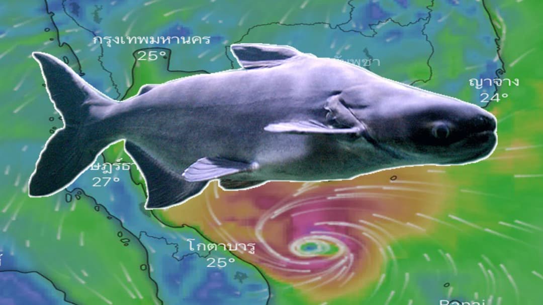 เปิดที่มา ทำไมชื่อพายุ “ปาบึก”