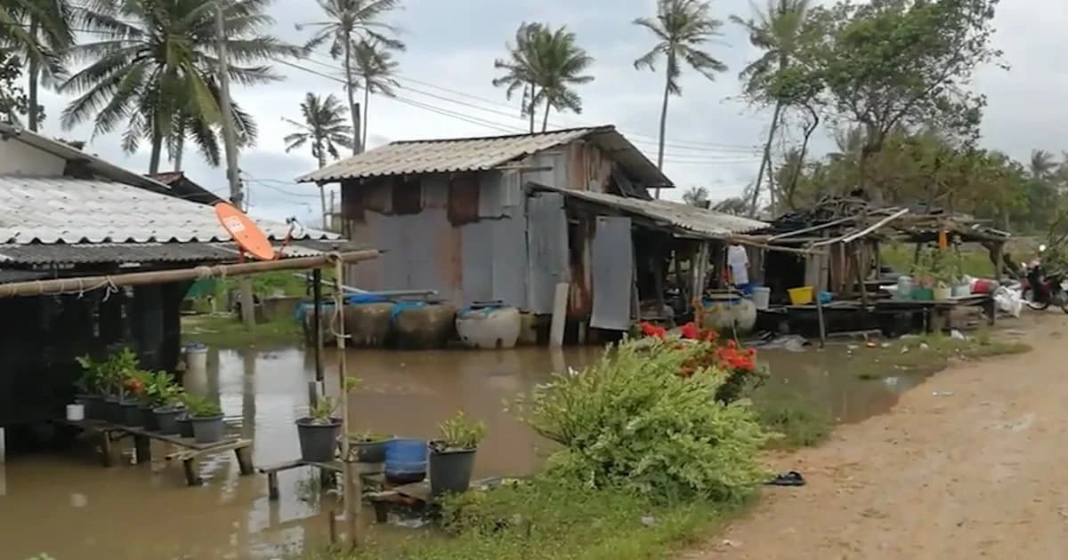 จ.สุราษฎร์ธานี สรุปความเสียหายจากพิษ ‘ปาบึก’ กระทบ 3 พันครอบครัวใน 11 อำเภอ