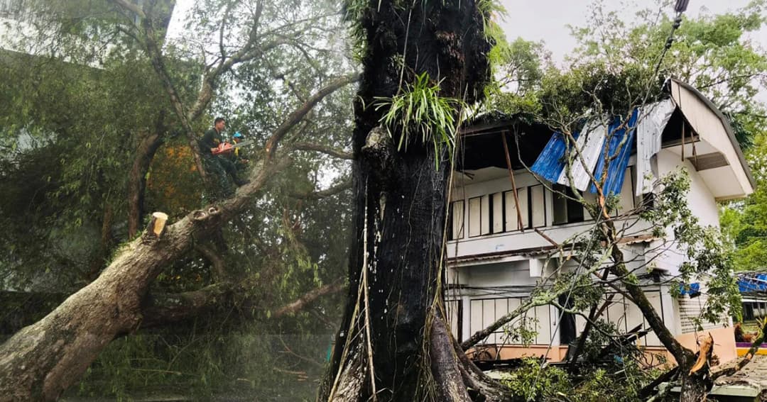 ‘พายุปาบึก’ แผลงฤทธิ์หนักกระทบ 2 แสนครอบครัว เสียชีวิต 3 คน