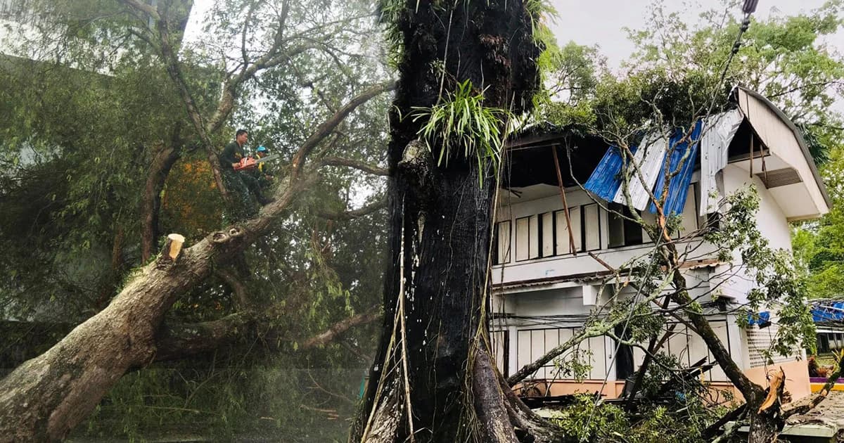 ‘พายุปาบึก’ แผลงฤทธิ์หนักกระทบ 2 แสนครอบครัว เสียชีวิต 3 คน