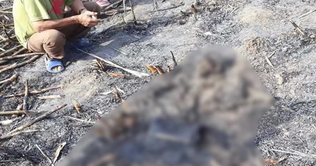 หนุ่มหายตัวปริศนานาน 5 เดือน พบอีกทีเป็นโครงกระดูกกลางป่าอ้อย