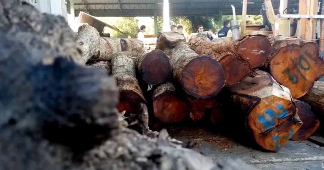 6 จนท.ป่าไม้แก่งหางแมวมี “พฤติกรรมฟอกไม้” ไล่ออกพร้อมดำเนินคดีอาญา