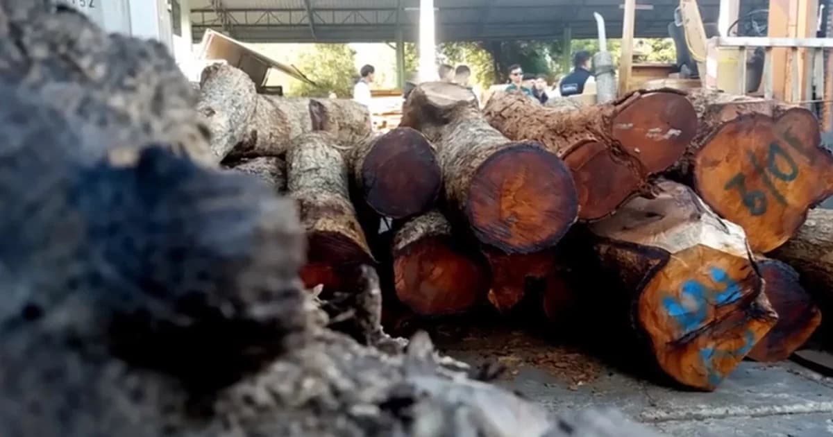 6 จนท.ป่าไม้แก่งหางแมวมี “พฤติกรรมฟอกไม้” ไล่ออกพร้อมดำเนินคดีอาญา