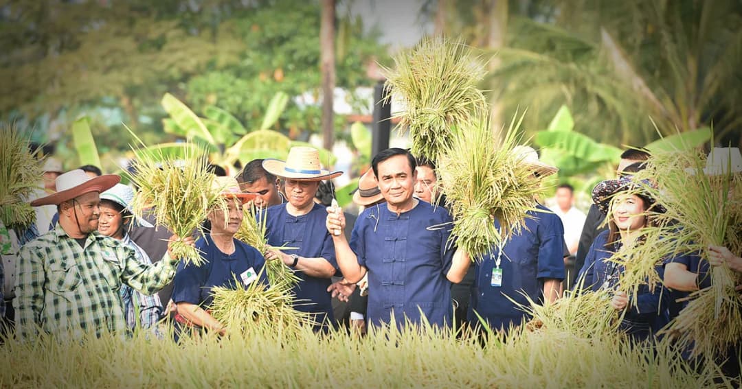 พล.อ.ประยุทธ์ นั่งอีแต๊กเกี่ยวข้าวอ้อนชาวหนองจอก