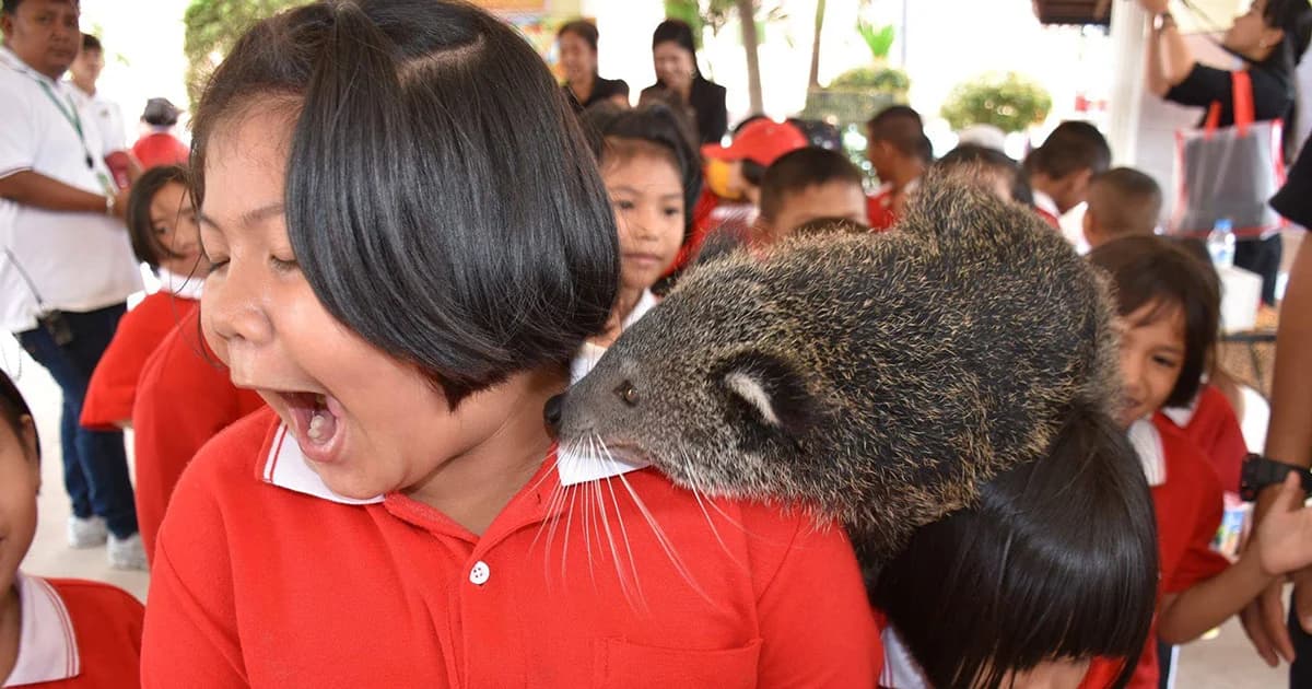 องค์การสวนสัตว์ จัดงานวันเด็กปี 62 เปิดสวนสัตว์ให้เด็กเที่ยวฟรี 6 แห่งทั่วประเทศ