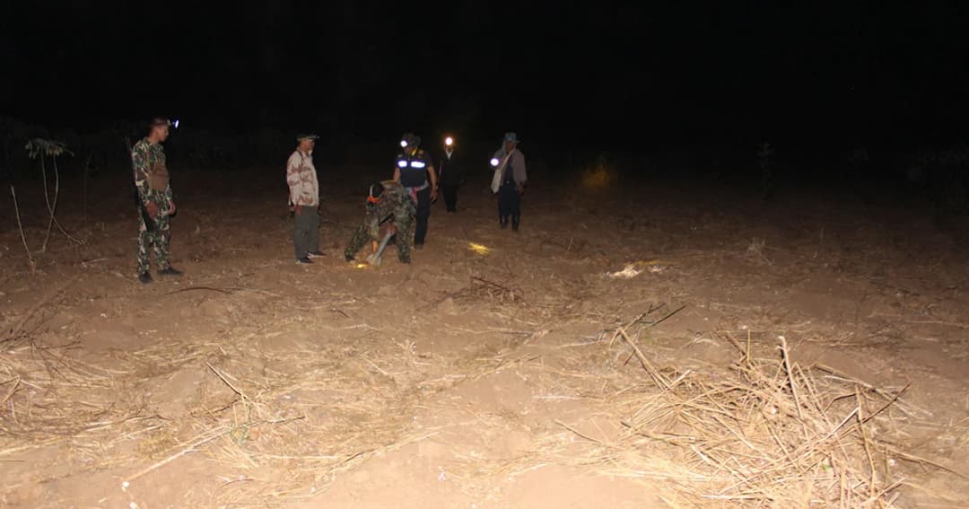 เกษตรกรออกเฝ้าไร่มัน หวั่น ‘ช้างป่าทับลาน’ บุกกินผลผลิตเสียหาย