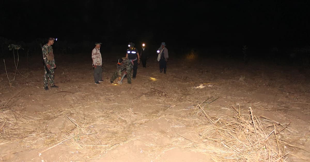 เกษตรกรออกเฝ้าไร่มัน หวั่น ‘ช้างป่าทับลาน’ บุกกินผลผลิตเสียหาย