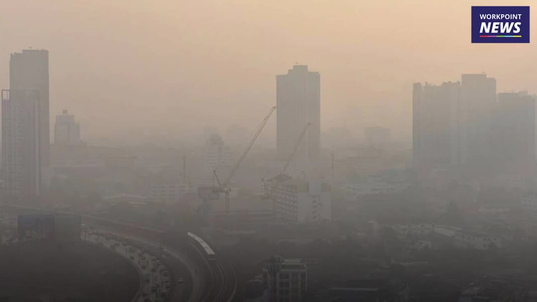 หน้ากากป้องกันฝุ่น N95 กำลังขาดตลาด ถ้าหาซื้อไม่ได้ ใช้อะไรป้องกันฝุ่น PM 2.5 ได้บ้าง?