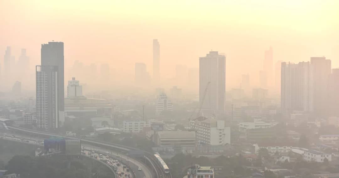 มาตรการ ลด PM2.5 ที่รัฐบาลทำได้ แต่ยังไม่ได้ทำ