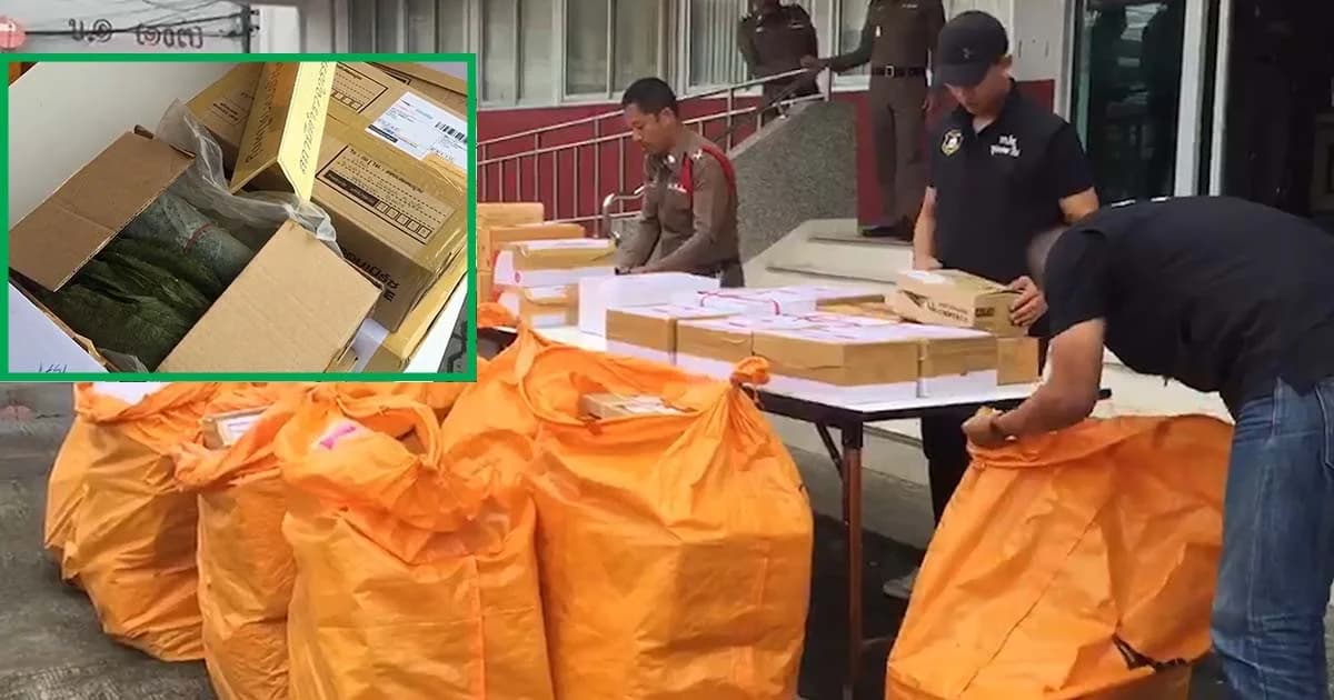 จับใบกระท่อมสั่งซื้อออนไลน์ส่งทางไปรษณีย์