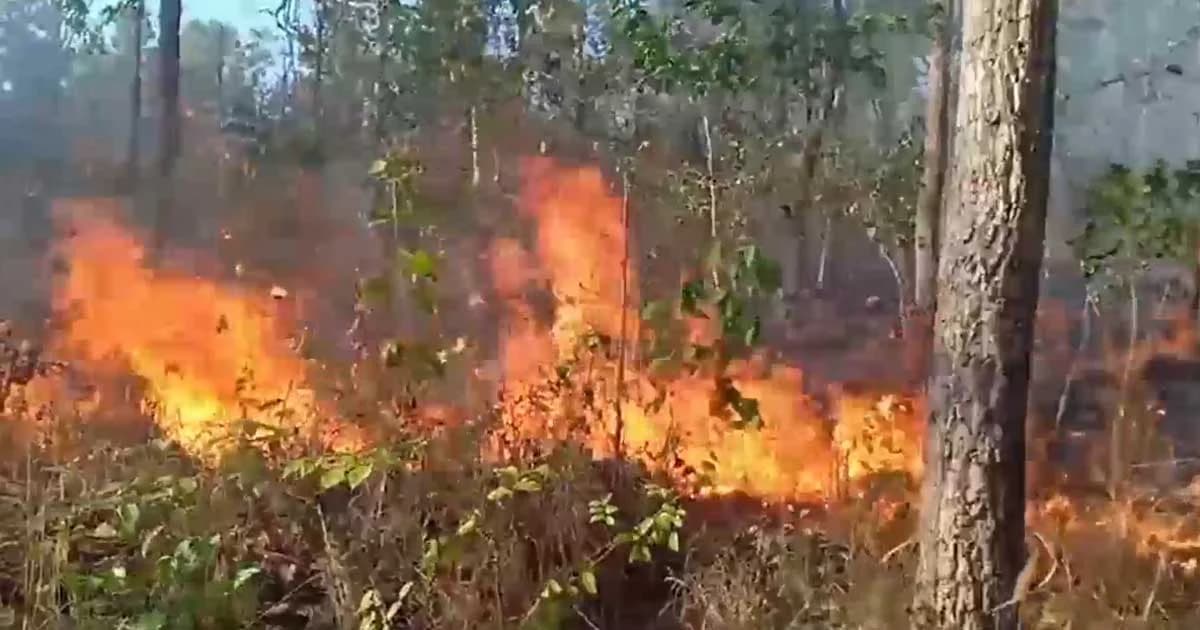 ไฟป่าเผาวอดกว่า 30 ไร่ กลางดอยพระบาท ลำปาง