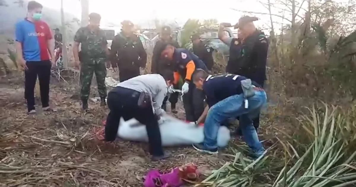 ช้างป่าเขาอ่างฤาไนดุ บุกทำร้ายพ่อเฒ่าเสียชีวิตกลางไร่สับปะรด