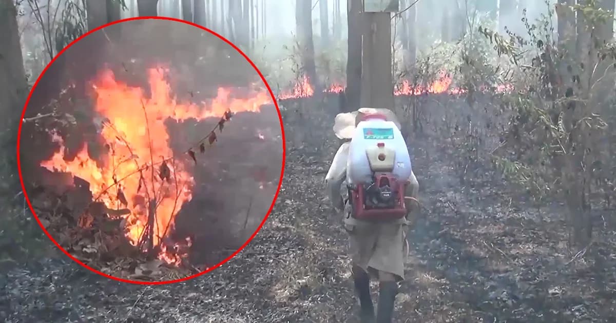 ควันไฟคลุมเมือง! ไฟป่าเผาวอดดอยพระบาท จนท.เร่งดับไฟ หวั่นขยายวงกว้าง