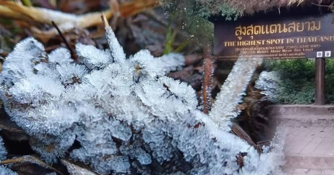 ยอดดอยอินทนนท์ อุณหภูมิต่ำสุดติดลบ 2 องศา เกิดปรากฏการณ์น้ำค้างแข็ง