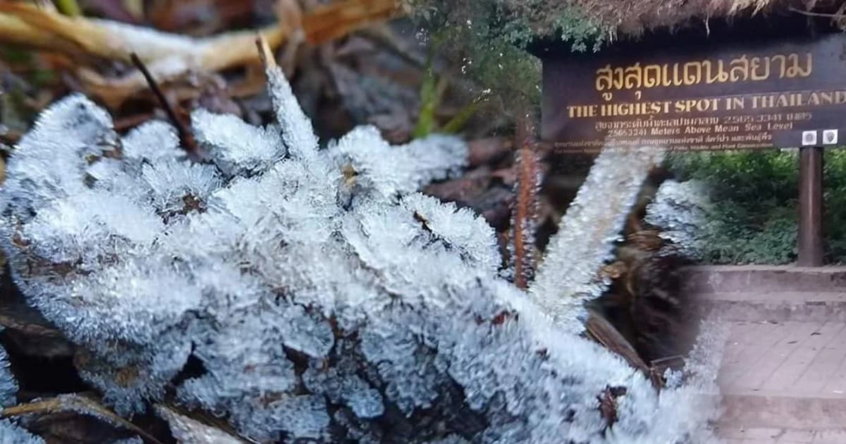 ยอดดอยอินทนนท์ อุณหภูมิต่ำสุดติดลบ 2 องศา เกิดปรากฏการณ์น้ำค้างแข็ง