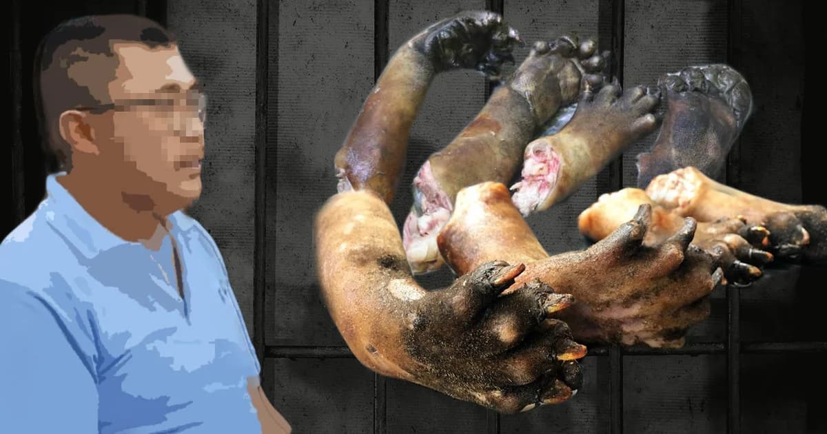 ‘ปลัดด่านมะขามเตี้ย’ กาญจนบุรี ปฏิเสธคดีล่าหมีขอ นัดฟังคำพิพากษา 6 ก.พ.62