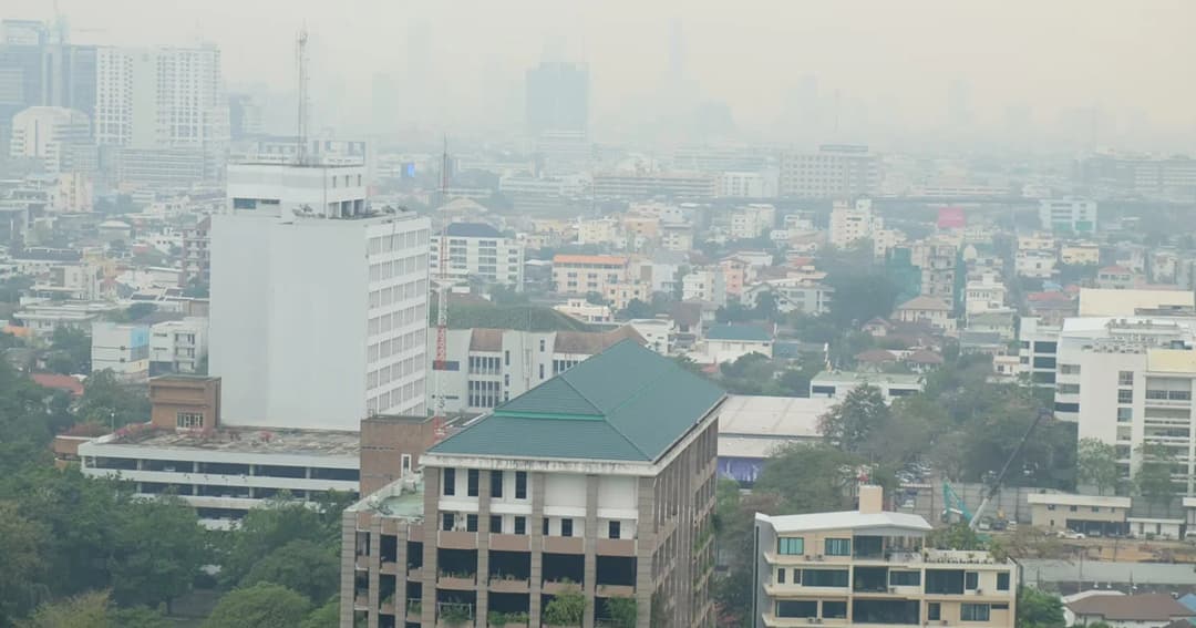 นักวิชาการเสนอ ออกกฎหมาย “อากาศสะอาด” แก้ปัญหาฝุ่นอย่างยั่งยืน