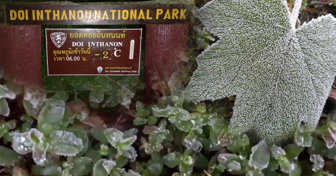 ยอดดอยอินทนนท์ติดลบ 2  องศา สองวันติด นทท.แห่สัมผัสอากาศหนาว-ชมเหมยขาบ