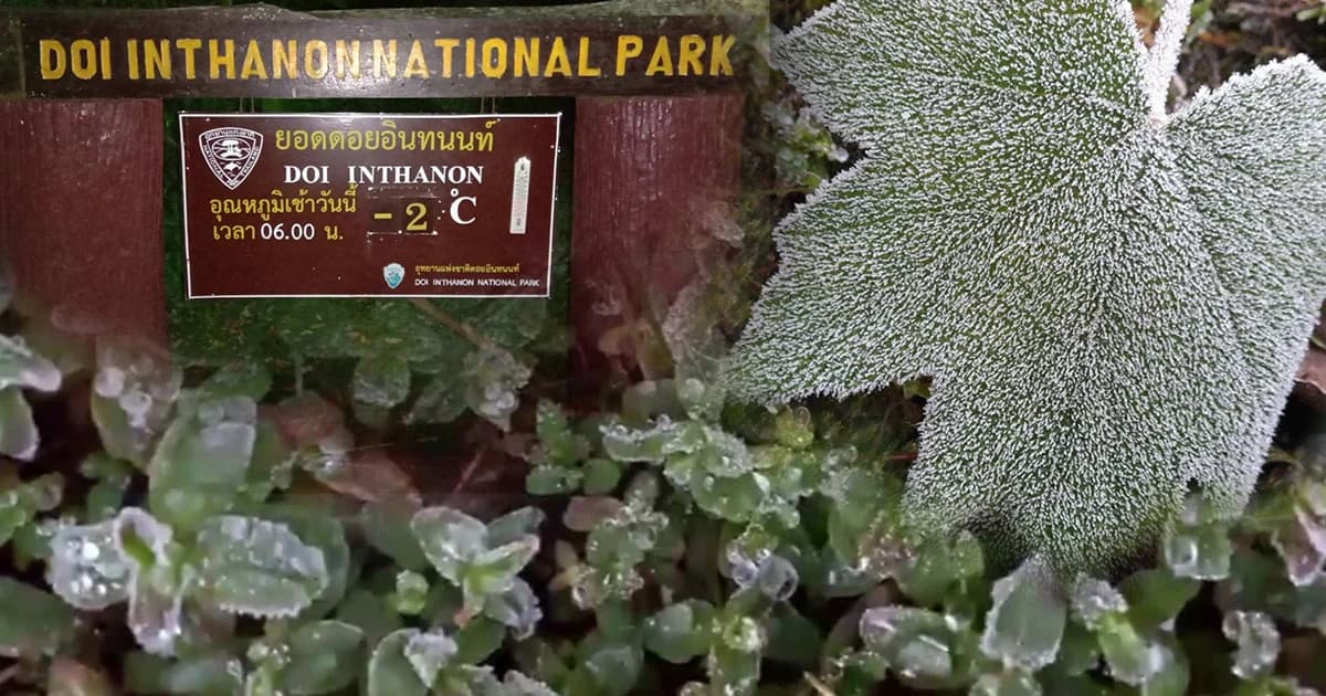 ยอดดอยอินทนนท์ติดลบ 2 องศา สองวันติด นทท.แห่สัมผัสอากาศหนาว-ชมเหมยขาบ