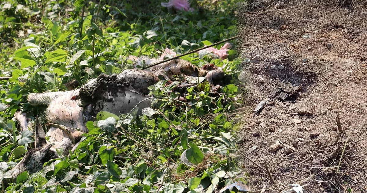 ยะลาป่วน! คนร้ายลอบวางระเบิด ชาวบ้าน-เจ้าหน้าที่ เจ็บ 6 ราย