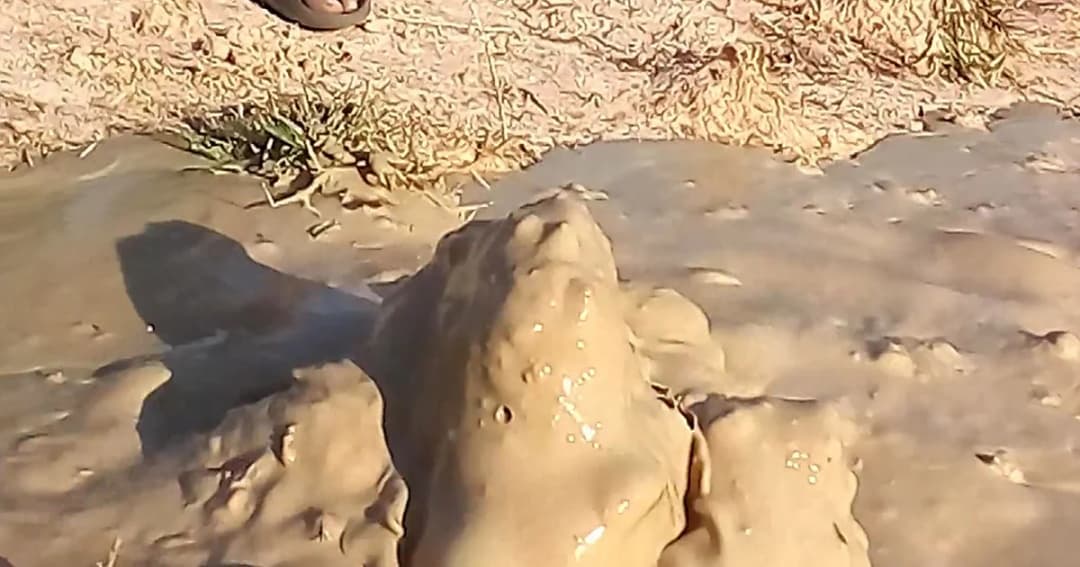 ชาวบ้านร้อง! เจอลาวาโคลนผุดจนทำนาไม่ได้