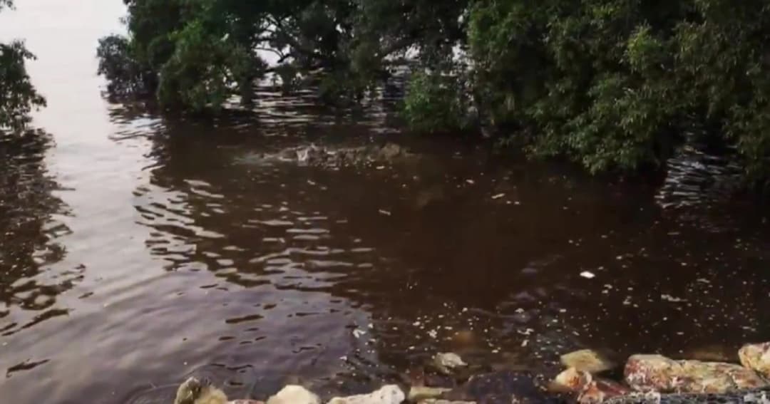 สุดทน! หนุ่มถ่ายคลิปโรงงานมักง่ายปล่อยน้ำเสียลงทะเล