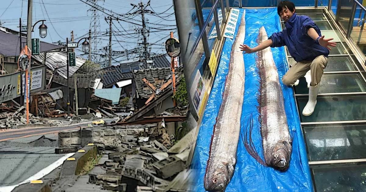 คนญี่ปุ่นตระหนก พบ “ปลาพญานาค” ลางบอกเหตุแผ่นดินไหวลูกใหญ่เร็วๆ นี้