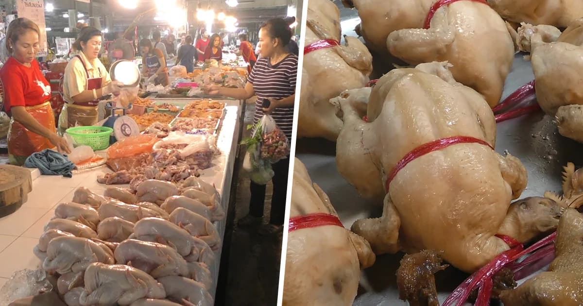 วันจ่าย ‘ชัยนาท’ ไม่คึกคัก หมูไก่ขยับราคาขึ้น แม่ค้าโอดยอดขายลดกว่าปี 61