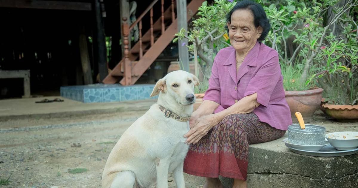 สปสช. เผยผล 3 ปีระบบดูแลสุขภาพผู้สูงอายุ ช่วยดูแล ‘สูงวัยภาวะพึ่งพิง’ 2.11 แสนราย