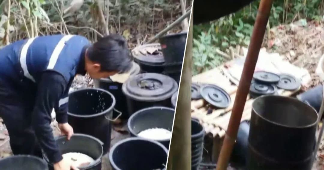 สรรพสามิตแพร่ บุกรื้อเพิงหมักสุราเถื่อนกลางป่า ยึดของกลางได้กว่า 1 หมื่นลิตร