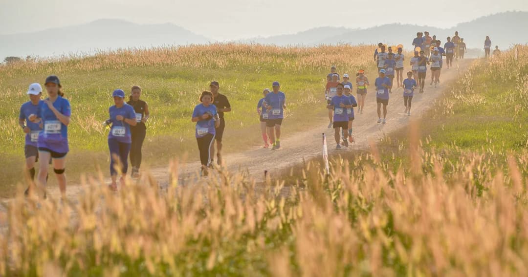 สวิตเมืองไทย ! “Singha Series Run” จัดวิ่งครอสคันทรีสนามแรก วิวสวยระดับท็อปของไทย