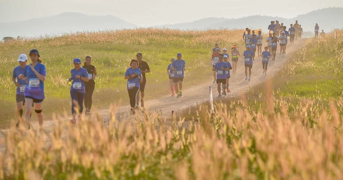 สวิตเมืองไทย ! “Singha Series Run” จัดวิ่งครอสคันทรีสนามแรก วิวสวยระดับท็อปของไทย