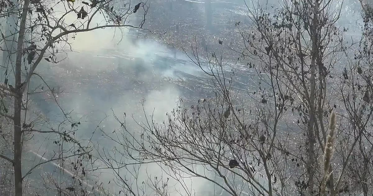 ‘น่าน’ หมอกควันฟุ้งทั่วเมือง หลังเกิดไฟป่ากว่า 82 แห่ง กระจายใน 12 อำเภอ