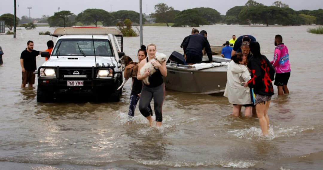 สถานการณ์น้ำท่วมออสเตรเลียยังวิกฤต ชาวบ้านพบจระเข้เดินข้ามถนน