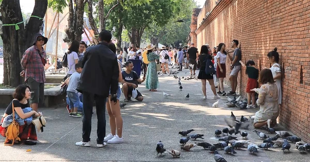 นทท.จีน ทะลักเชียงใหม่ ! ททท.คาดตรุษจีน 3 วัน เงินสะพัด 900 ล้านบาท