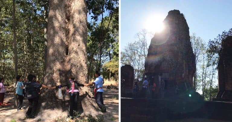 สุขวิถีที่ “บ้านดงยาง” ชมโบราณสถาน “ปรางค์กู่สวนแตง” เช็กอิน “ต้นยางยักษ์ 300 ปี”