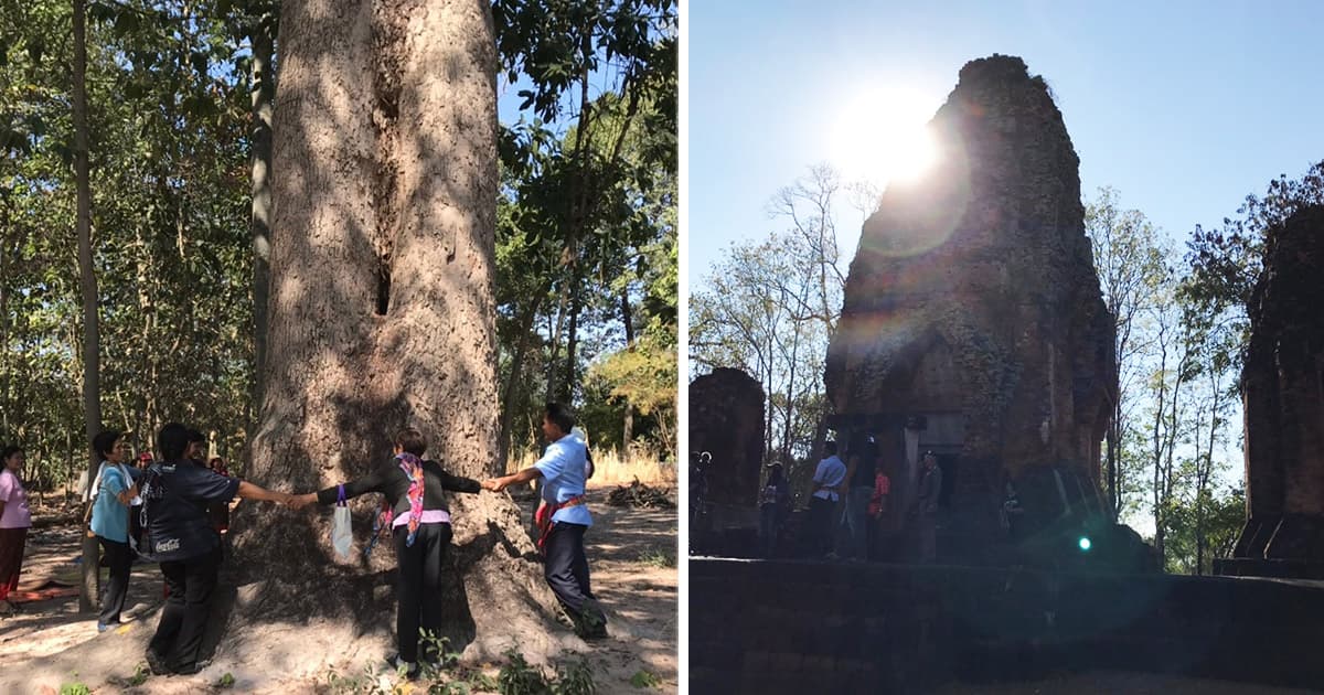 สุขวิถีที่ “บ้านดงยาง” ชมโบราณสถาน “ปรางค์กู่สวนแตง” เช็กอิน “ต้นยางยักษ์ 300 ปี”