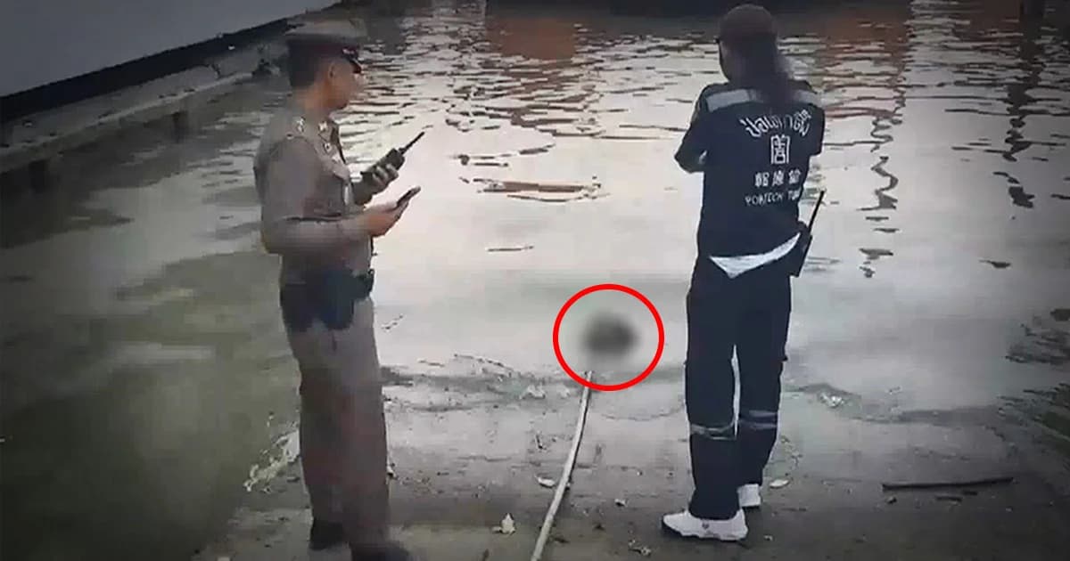 หัวศพสาวปริศนา เจอเจ้าของแล้วเป็นของสาวป่วยซึมเศร้า