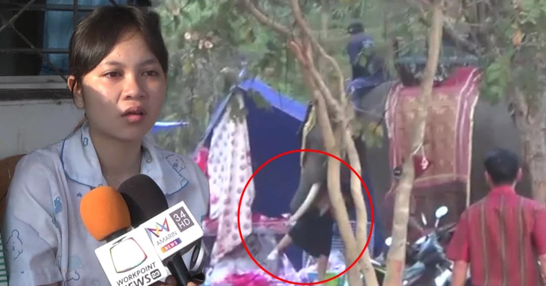 เปิดใจ น้องมุก ถึงนาทีชีวิตเอาตัวรอดจากเหตุช้างทำร้าย