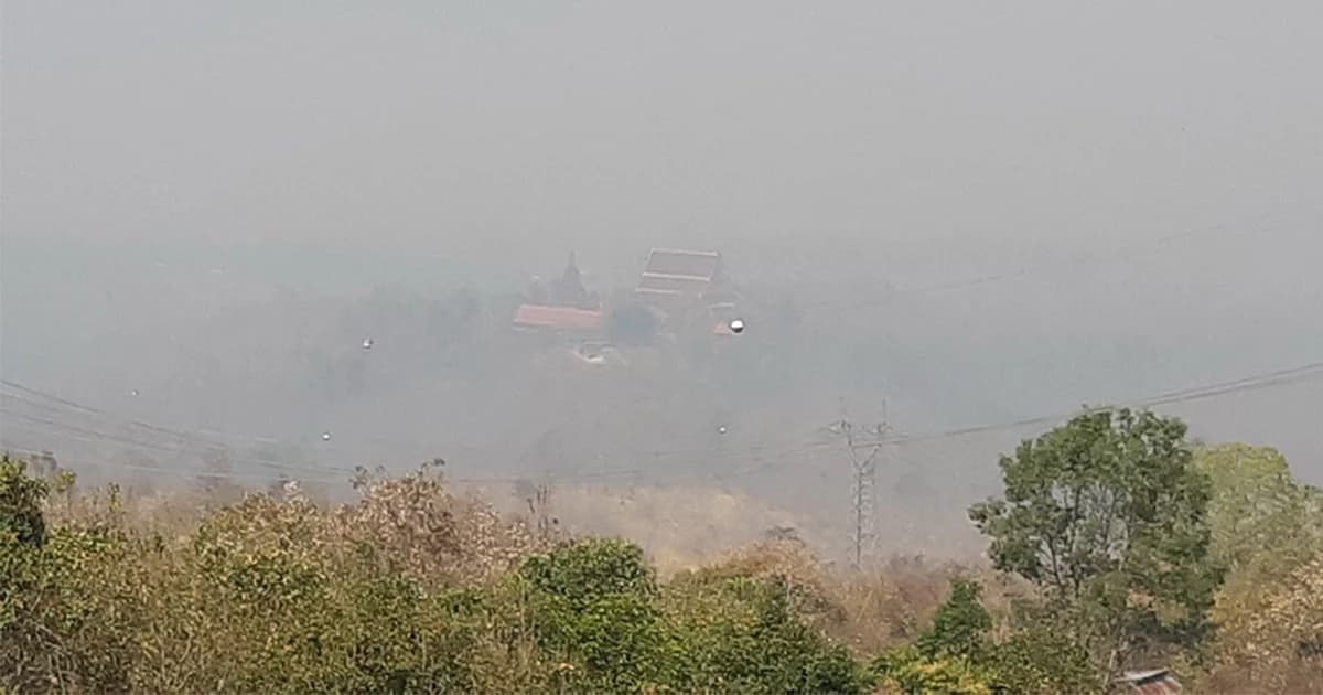 อ.ด่านซ้าย จ.เลย วิกฤต ! เผาป่า หมอกควันปกคลุมทั่วเมือง