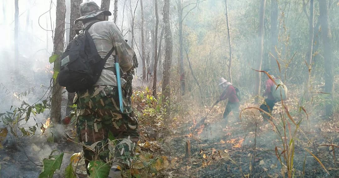 ฝุ่นพิษภาคเหนือ-อีสาน อันตรายกว่าอากาศในกรุงเทพฯ