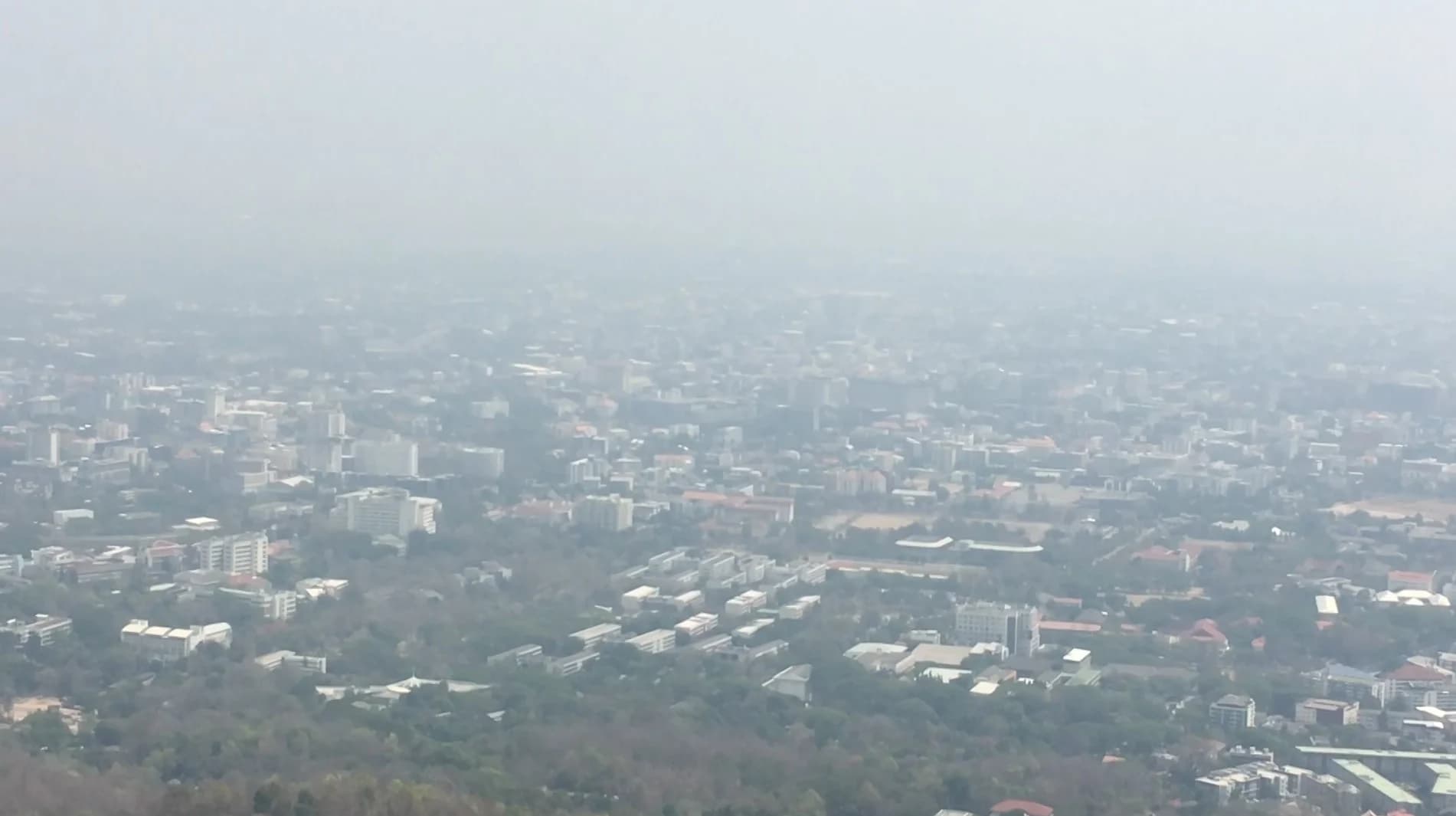 ยังไม่หยุดเผา ตัวเมืองเชียงใหม่ฝุ่น PM2.5 พุ่ง