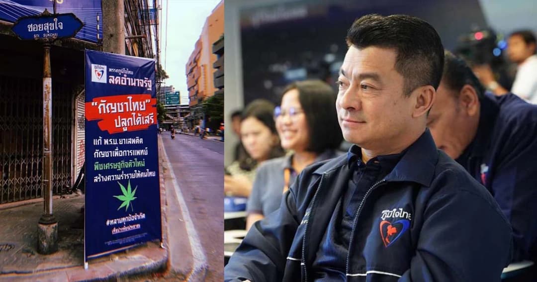 ภูมิใจไทย ชี้ดินไทยดีปลูกกัญชาขาย ขึ้นเบอร์ 1 โลกแน่