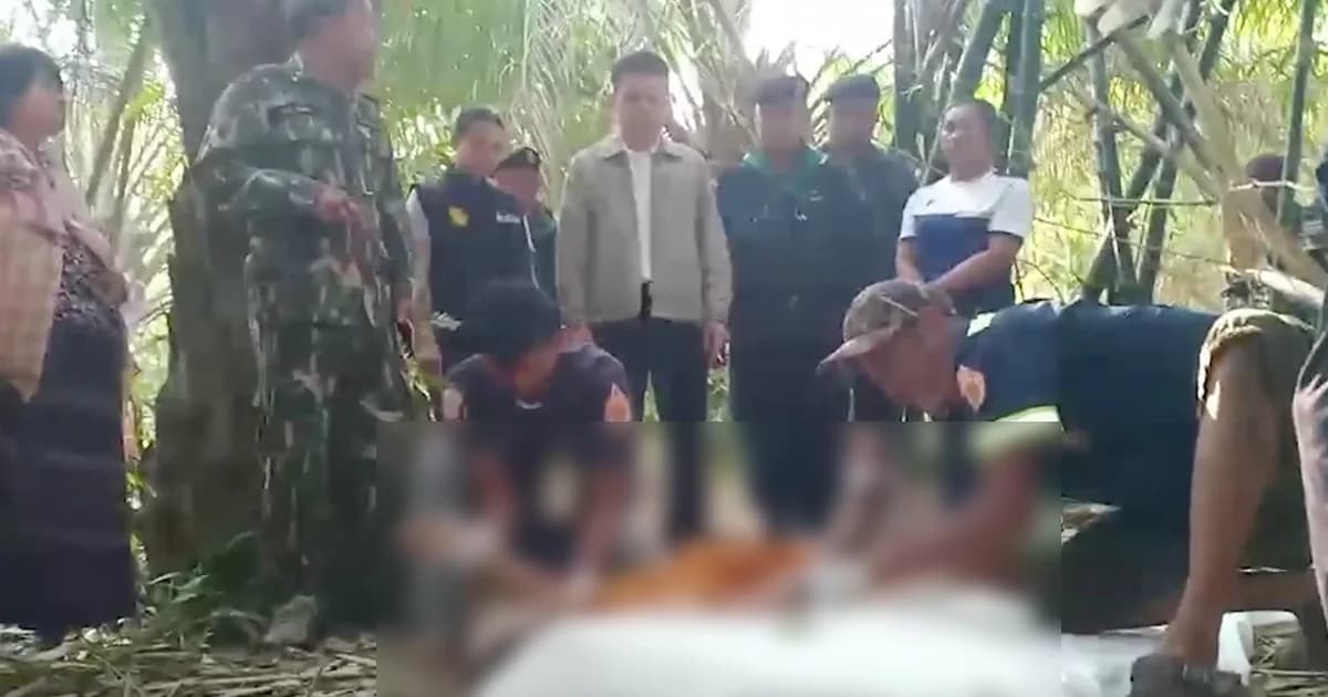 โขลงช้างป่าอ่างฤไนกว่า 15 ตัว รุมเหยียบพระมรณภาพ กลางไร่มันสัมปะหลัง