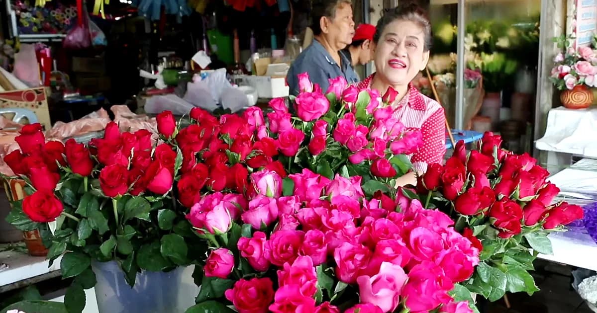 โคราชกุหลาบแพงรับวาเลนไทน์ ยอดขายพุ่ง 40 เปอร์เซ็นต์