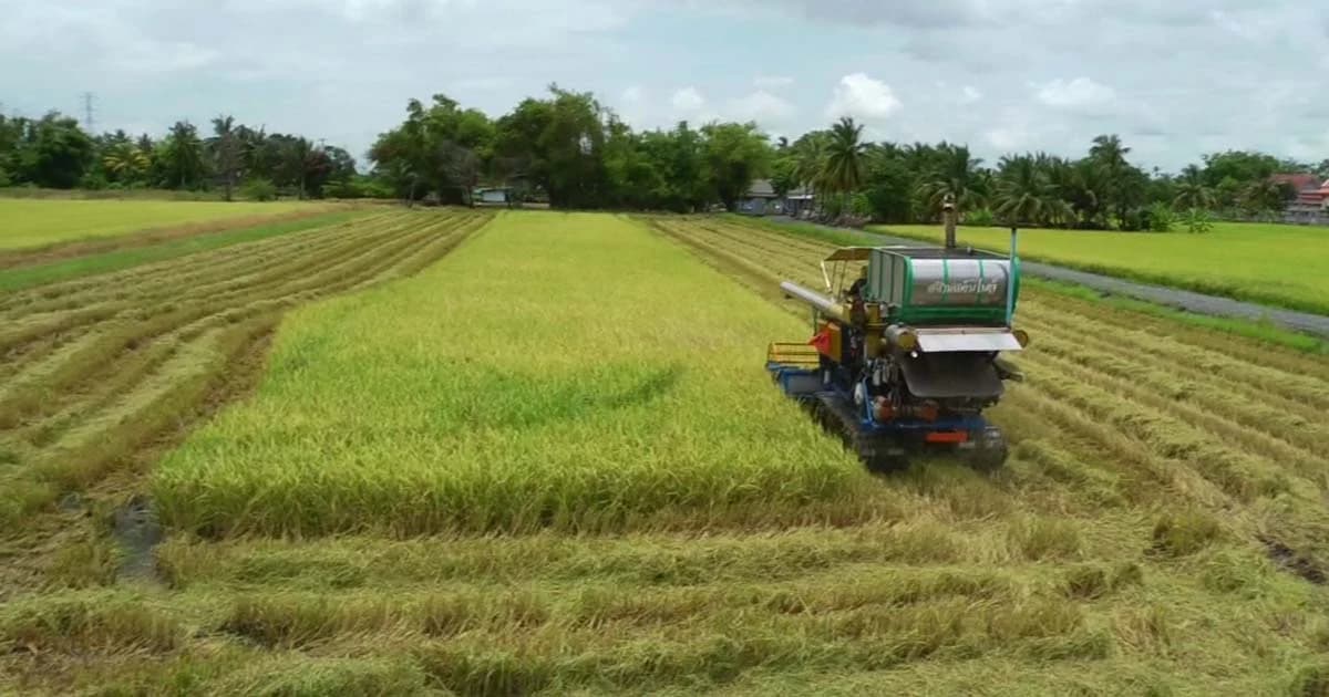 สนช. ยืนยัน “พ.ร.บ.ข้าว” ไม่กระทบเมล็ดพันธุ์ชาวนา-ก.เกษตรฯ ส่งตัวแทนหารือก่อนลงมติ