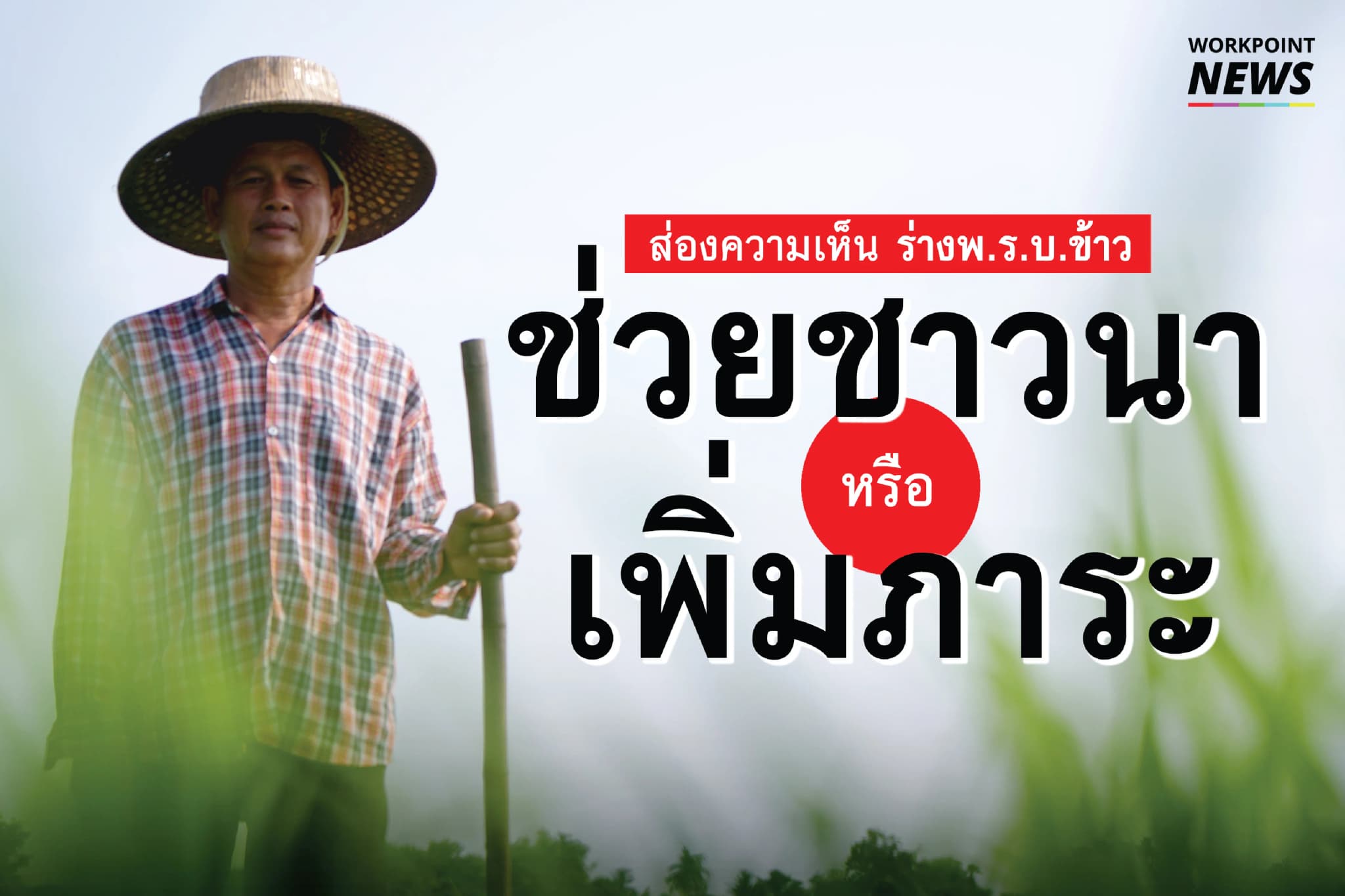 ส่องความเห็น พ.ร.บ.ข้าว ดีกับชาวนาหรือไม่?