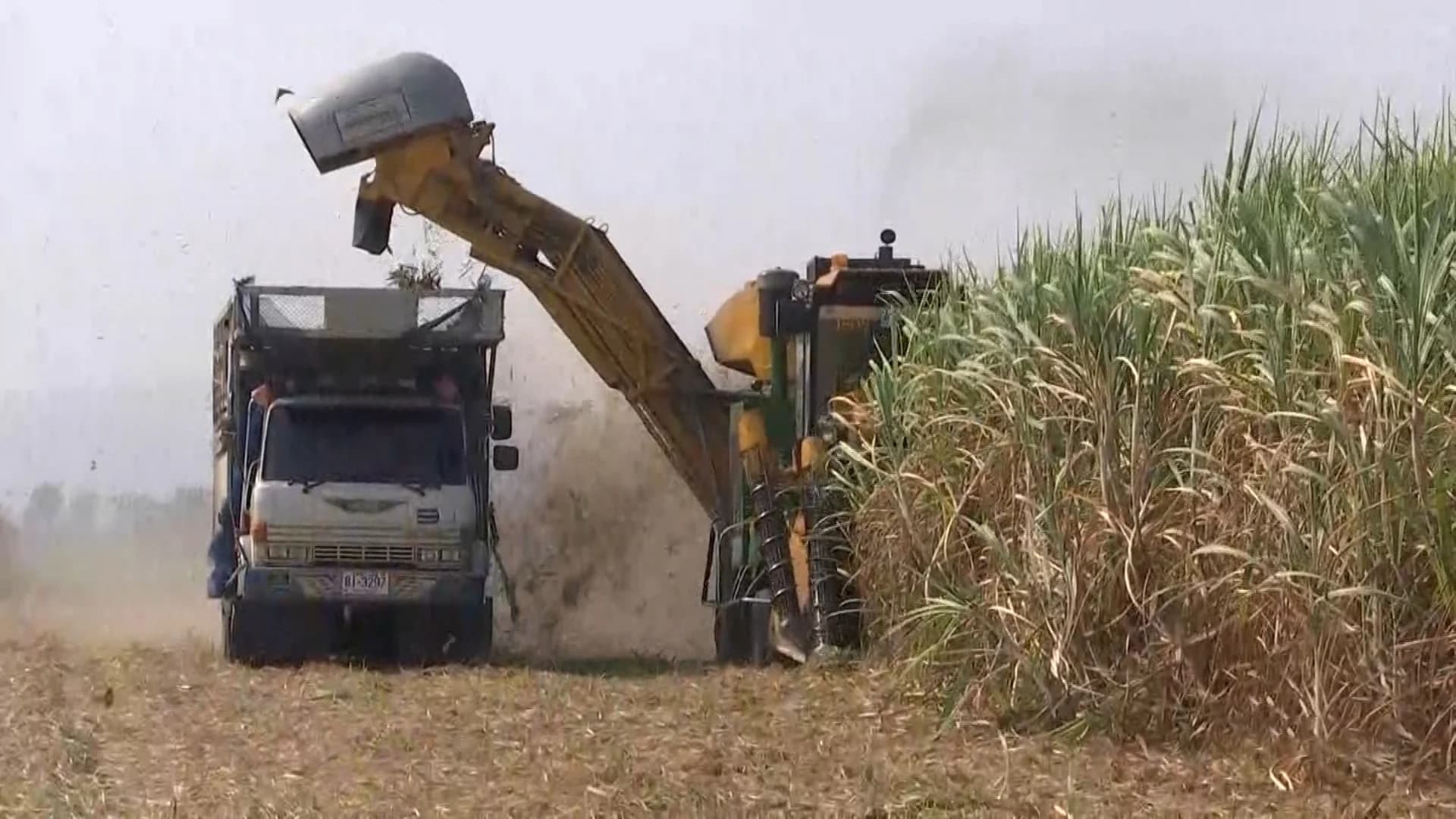 เตรียมชง ครม. ลดดอกเบี้ยซื้อรถตัดอ้อย คาดช่วยเกษตรกรเผาไร่อ้อยน้อยลง