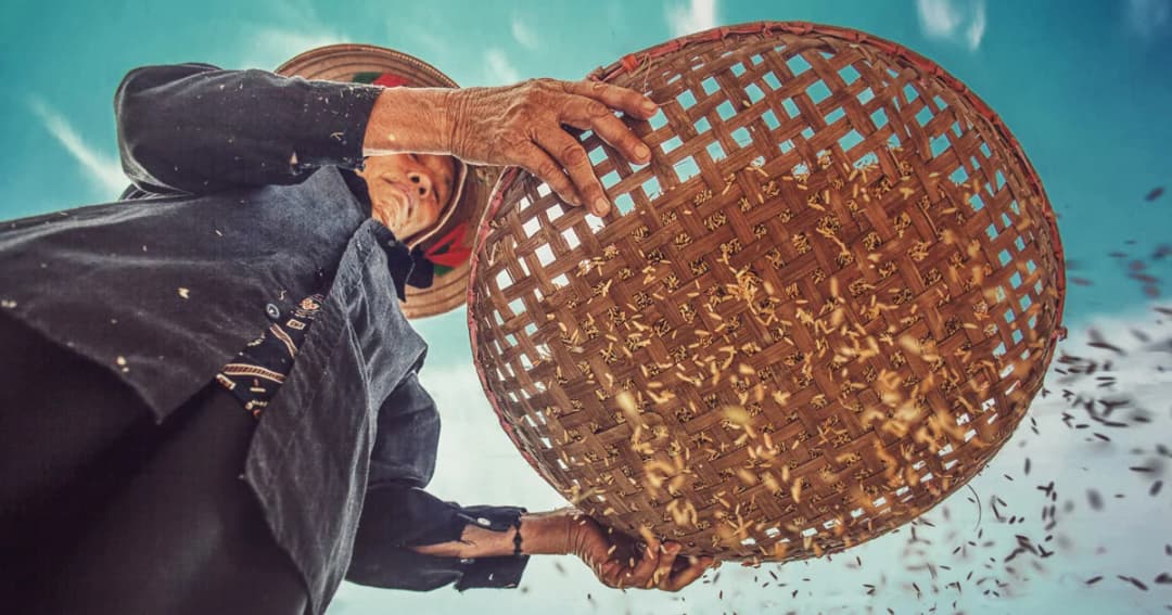 ชาวนาเตรียมเคลื่อนหนุนร่าง พ.ร.บ.ข้าวพรุ่งนี้