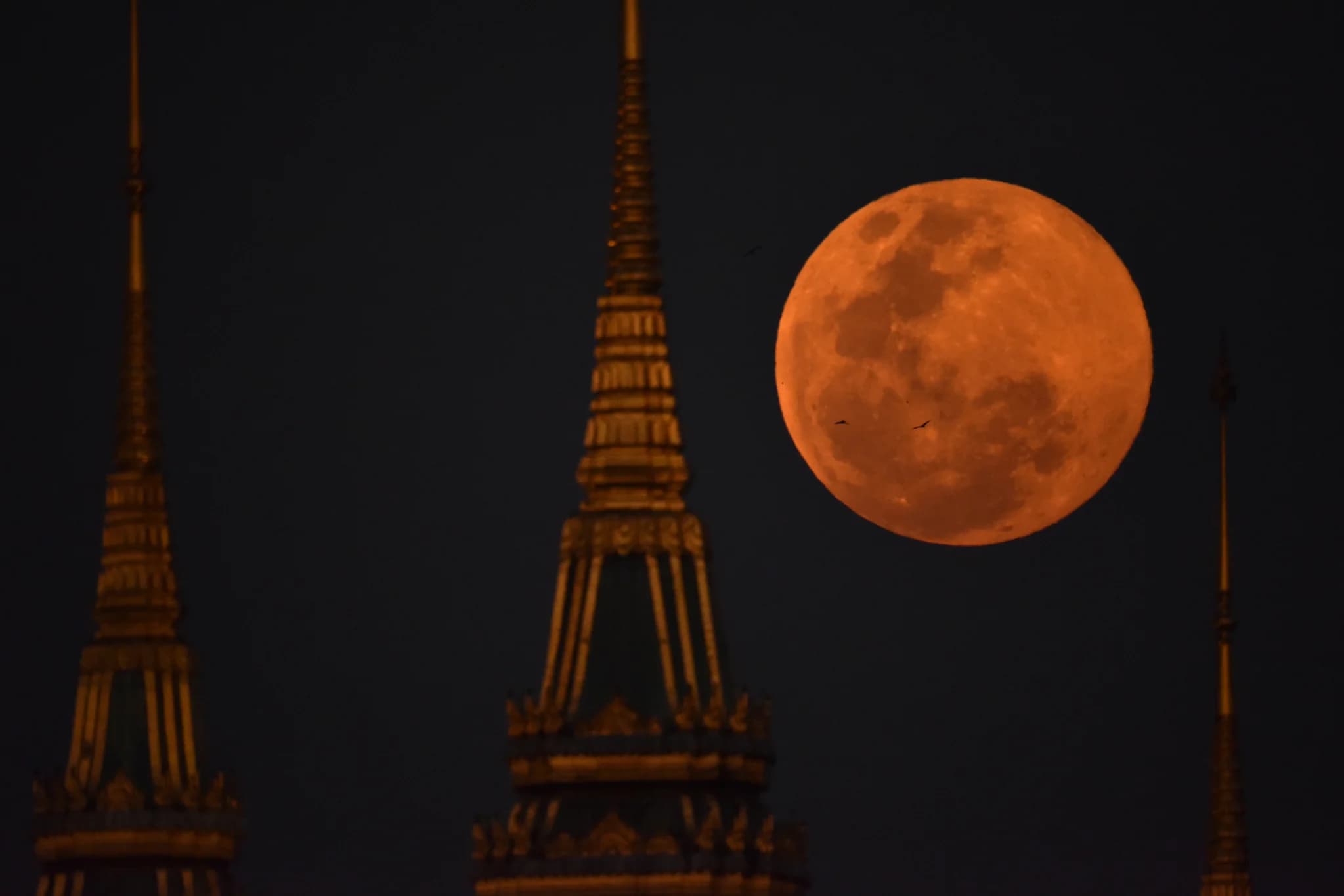 สวยจับใจ… ชุดภาพ “ฟูลมูน” ณ พระบรมมหาราชวัง